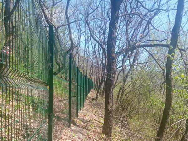 Сетка металлическая оцинкованная Сетка металлическая оцинкованная